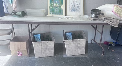 bac laundry